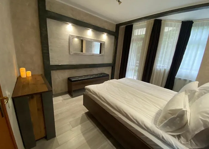 Deluxe 217 아파트 보로베츠